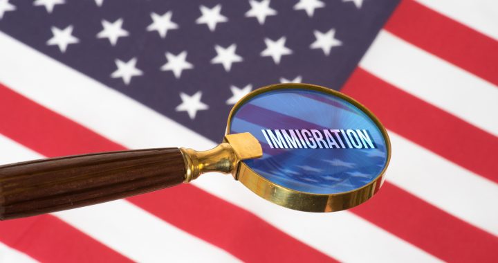 undocumented illegals