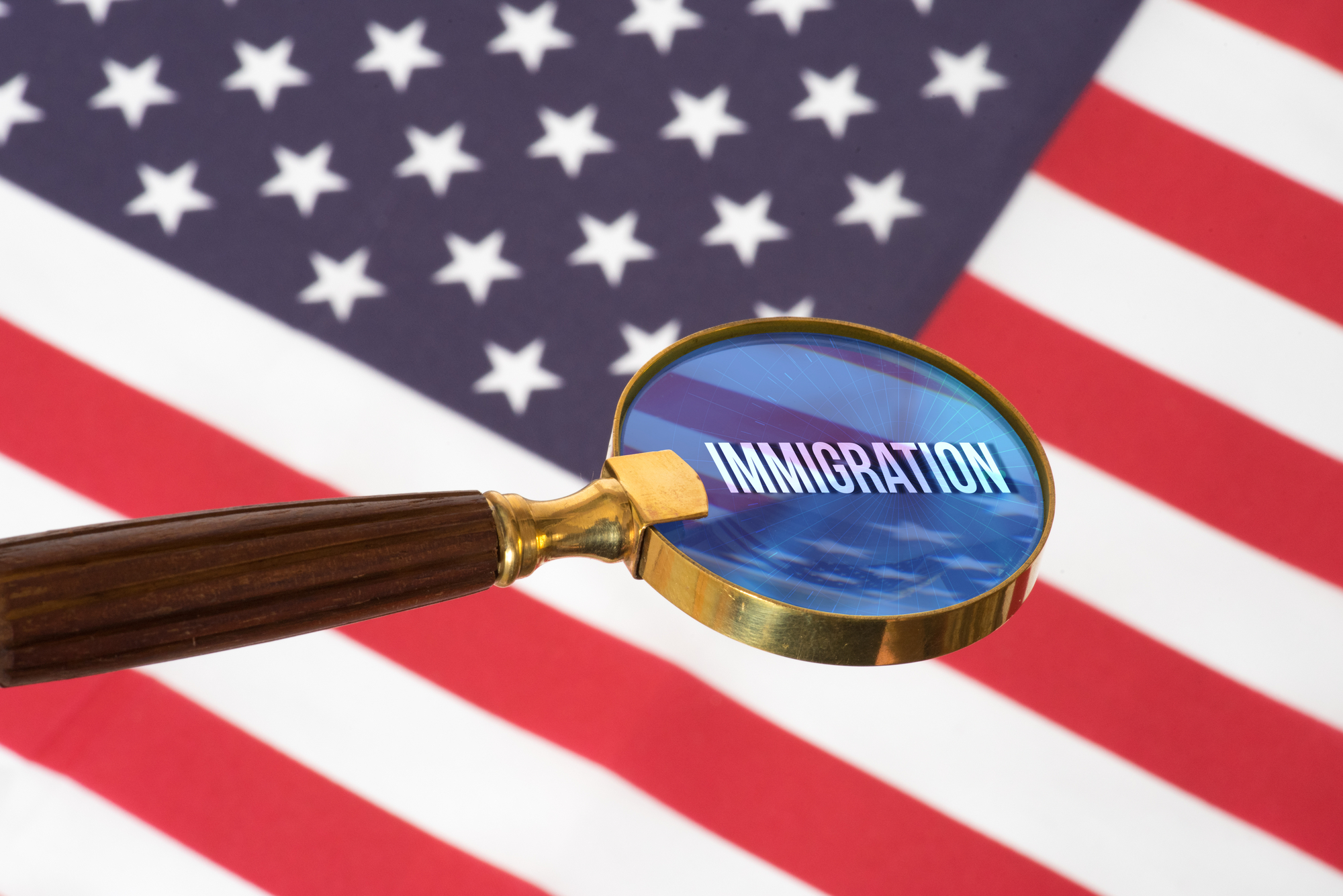 undocumented illegals